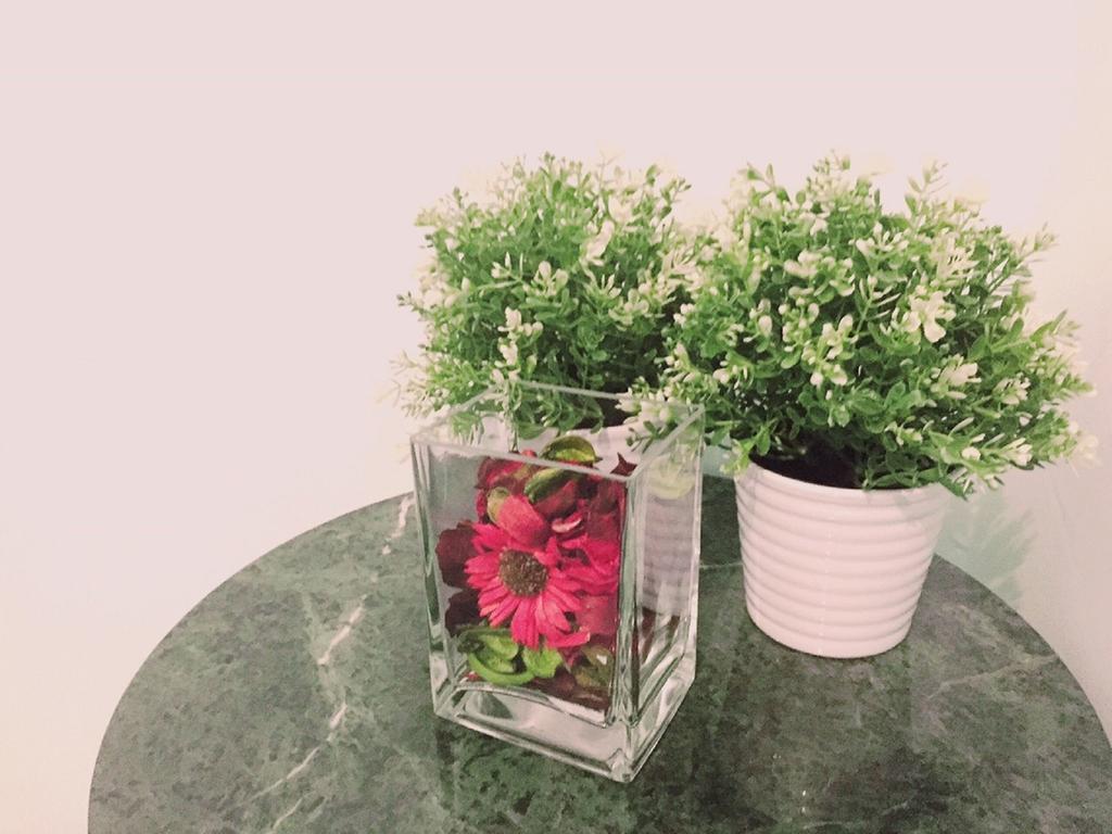 Fengchia Bichon B&B Taichung Dış mekan fotoğraf